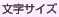 文字サイズ